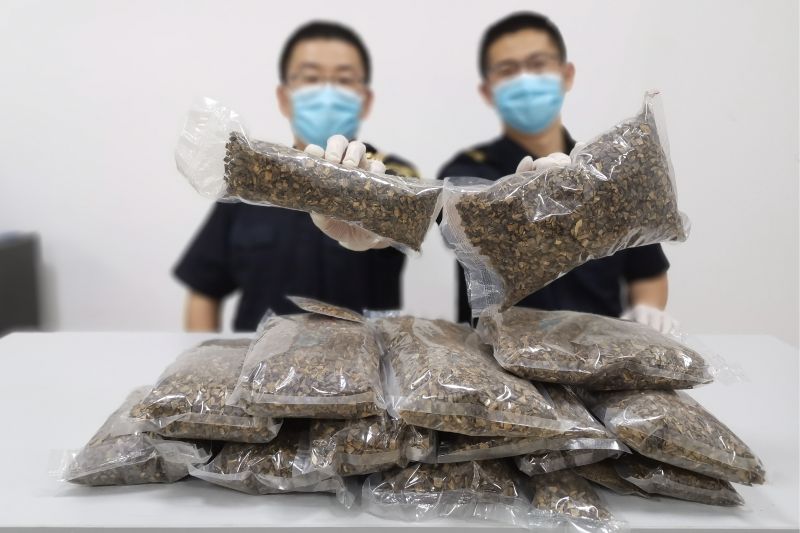 煙臺(tái)海關(guān)截獲偽報(bào)出境沉香6.87千克（圖）