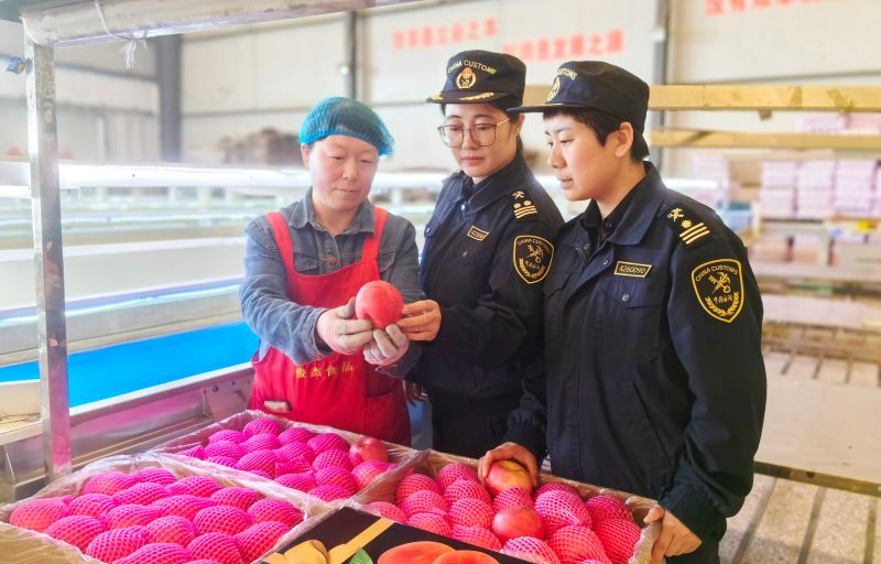 海關(guān)精準(zhǔn)服務(wù) 助力全球最大海上風(fēng)電安裝船交付出海（圖）