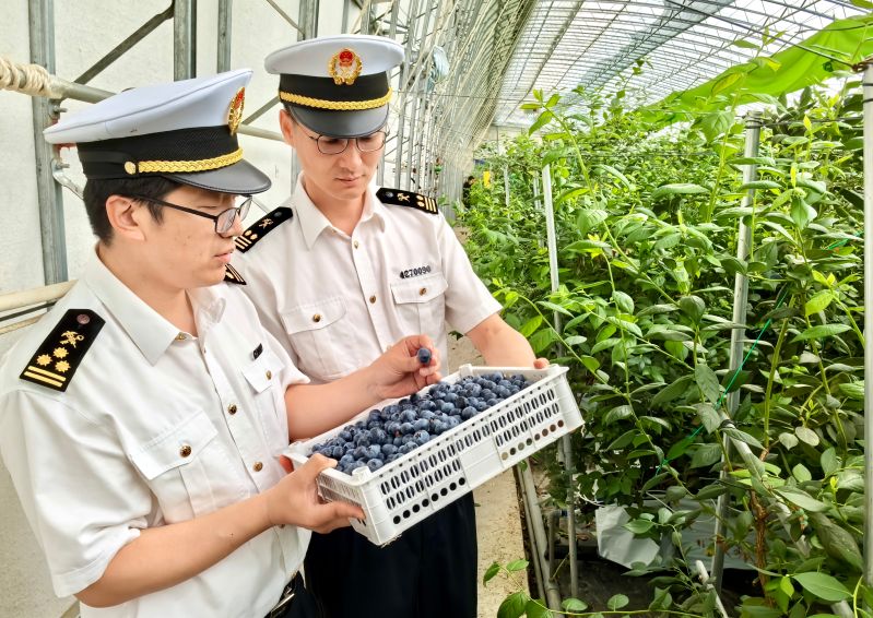 內(nèi)需擴(kuò)大帶動進(jìn)口趨穩(wěn) ----上半年山東機(jī)電產(chǎn)品進(jìn)口實(shí)現(xiàn)兩位數(shù)增長（圖）