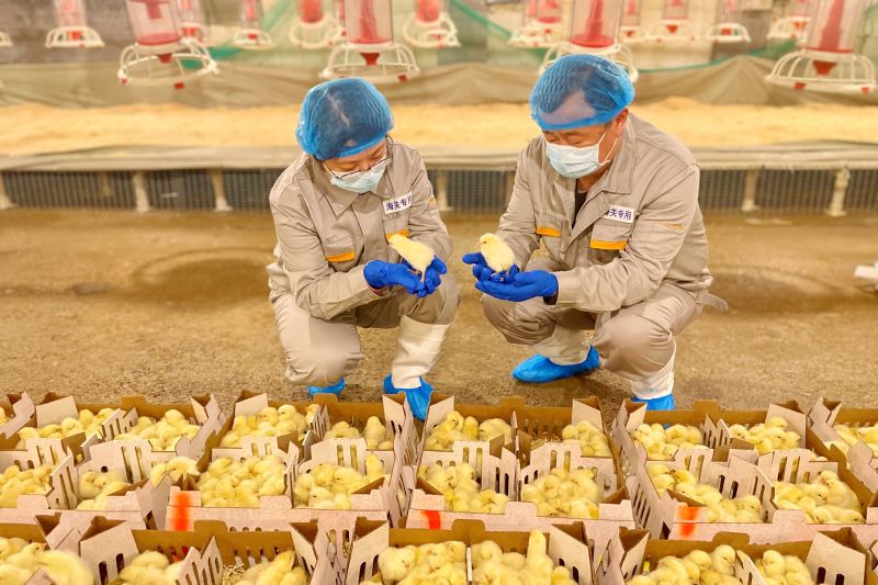 “煙臺—塞內(nèi)加爾”西非航線正式開通（圖）